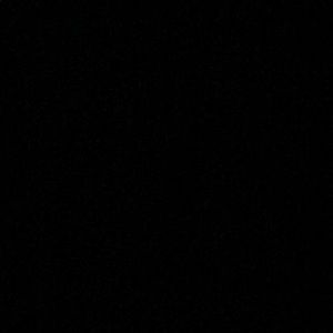 Meet your Posher, Chase